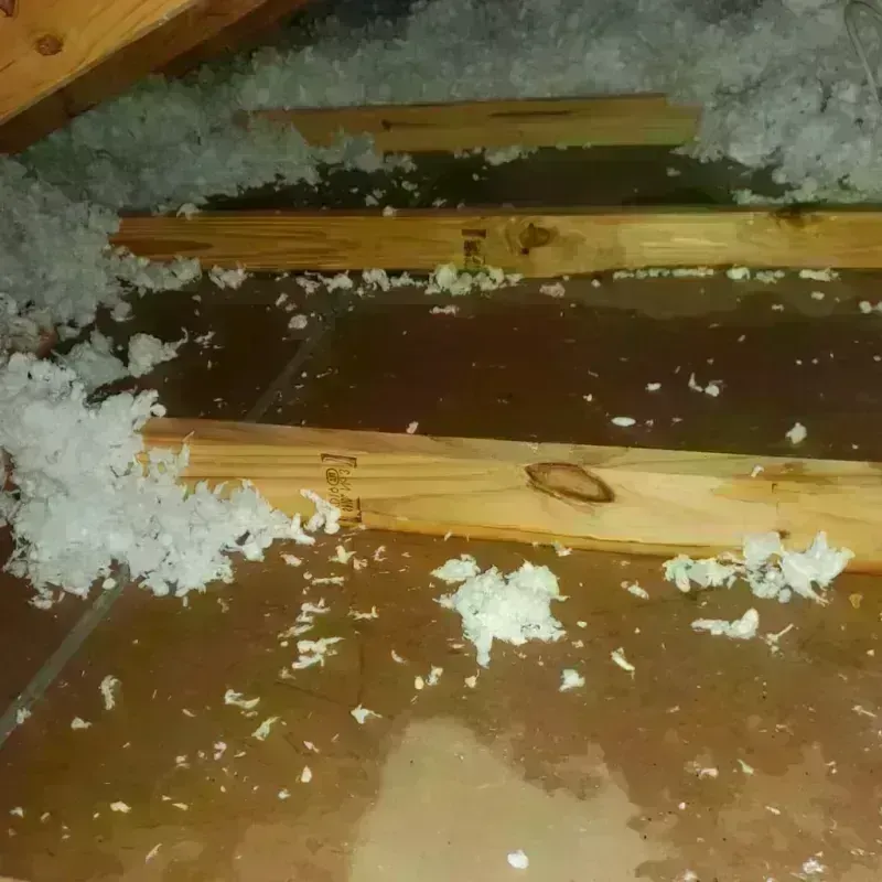 Attic Water Damage in Trussville, AL